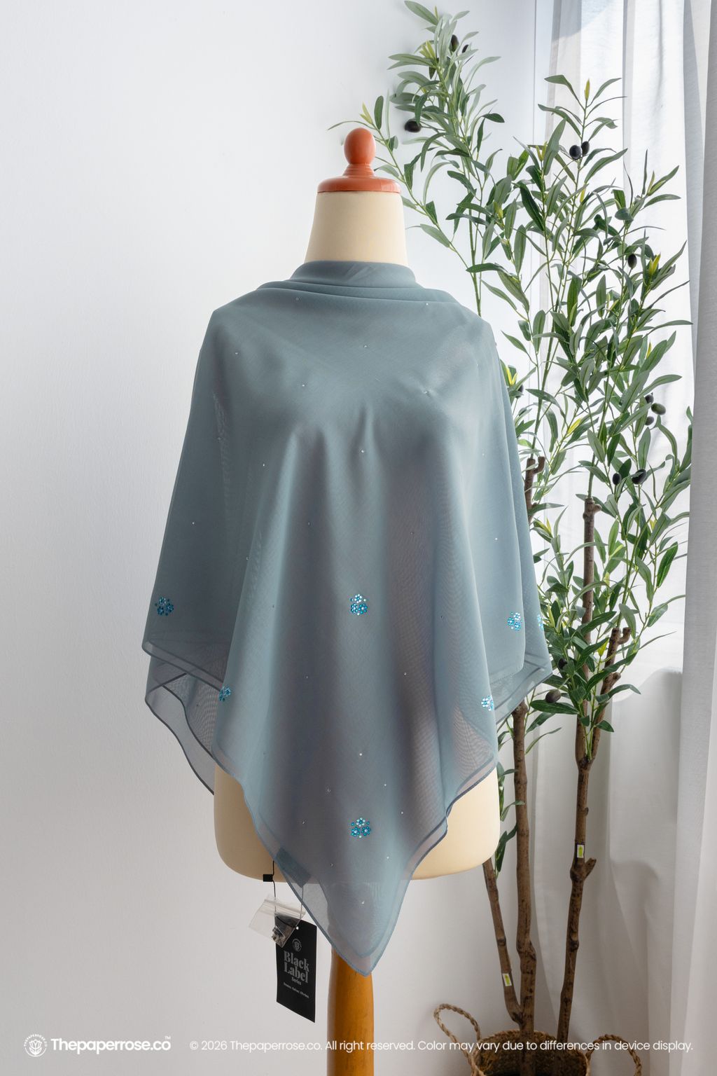 DSC08509 FULL RES HAILEY THUNDER BLUE