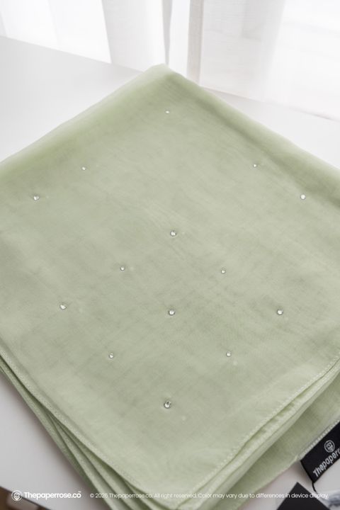 DSC08673 THEA SWA TRANQUIL SAGE