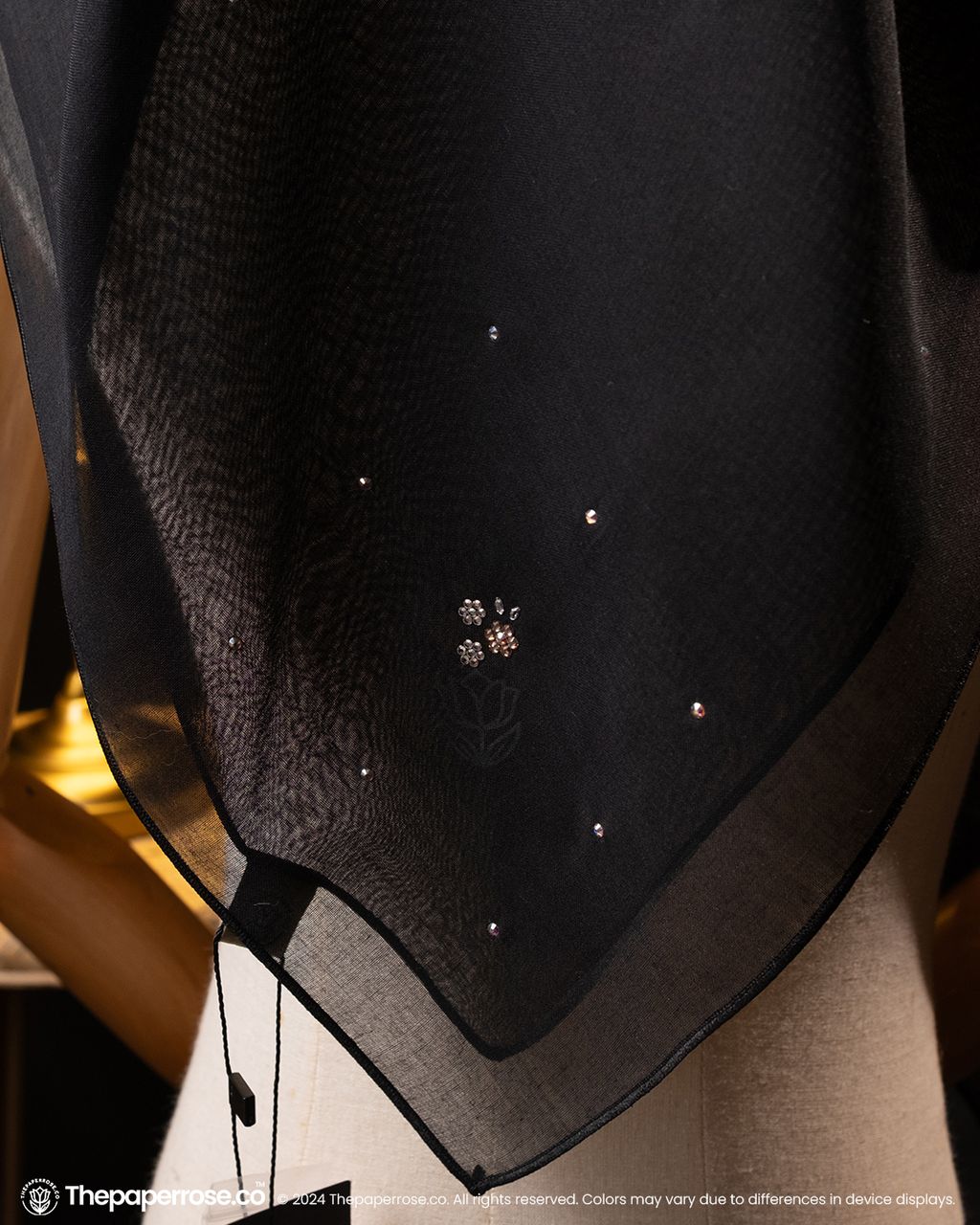 2 PHEOBE SWAROVSKI AUG 2024