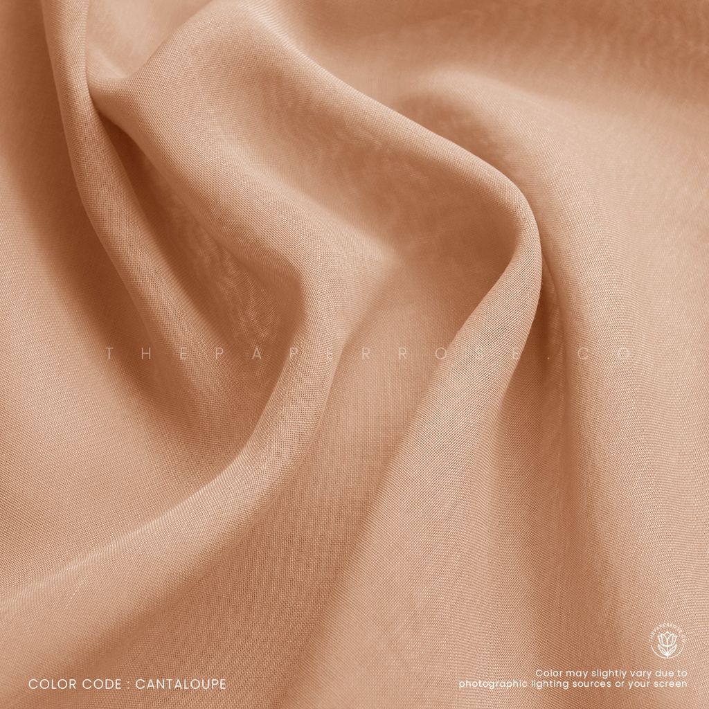 CANTALOUPE 1 DEC 2024