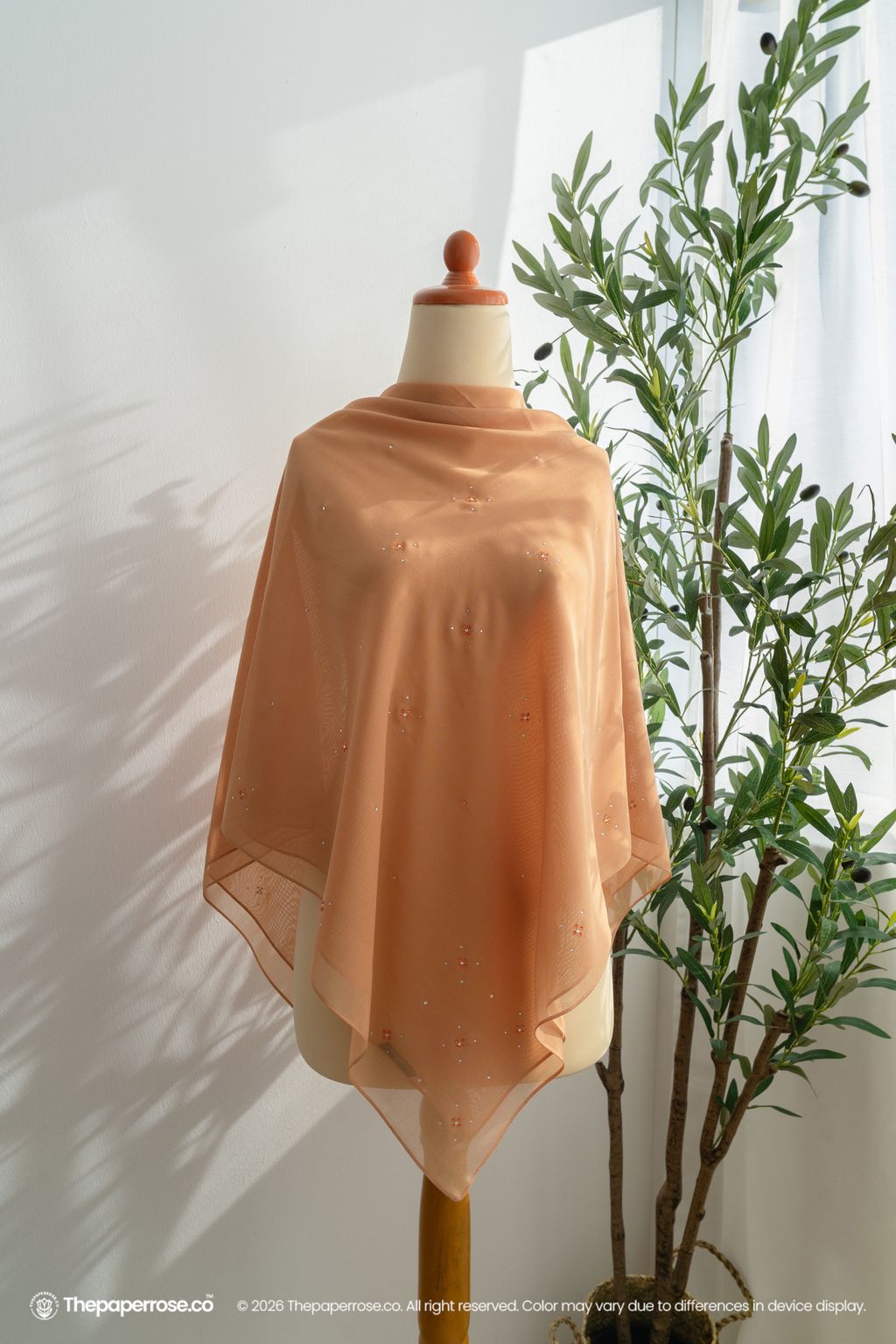 DSC07351 FULL RES PRINCETON ORANGE