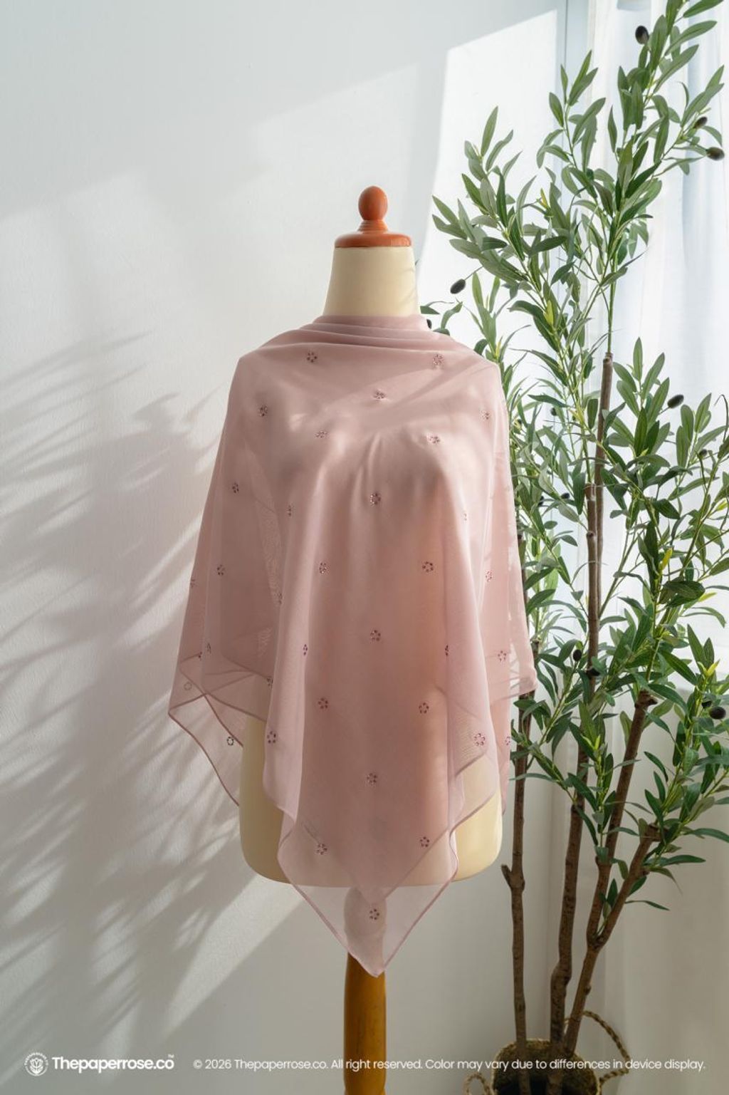 photo_4_2026-02-02_14-18-13