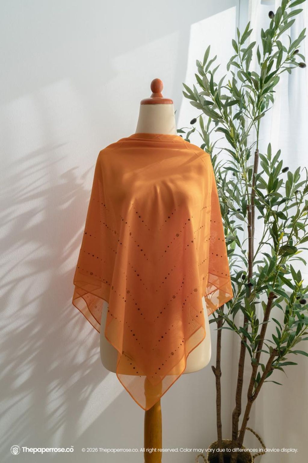 photo_10_2026-02-02_14-18-13