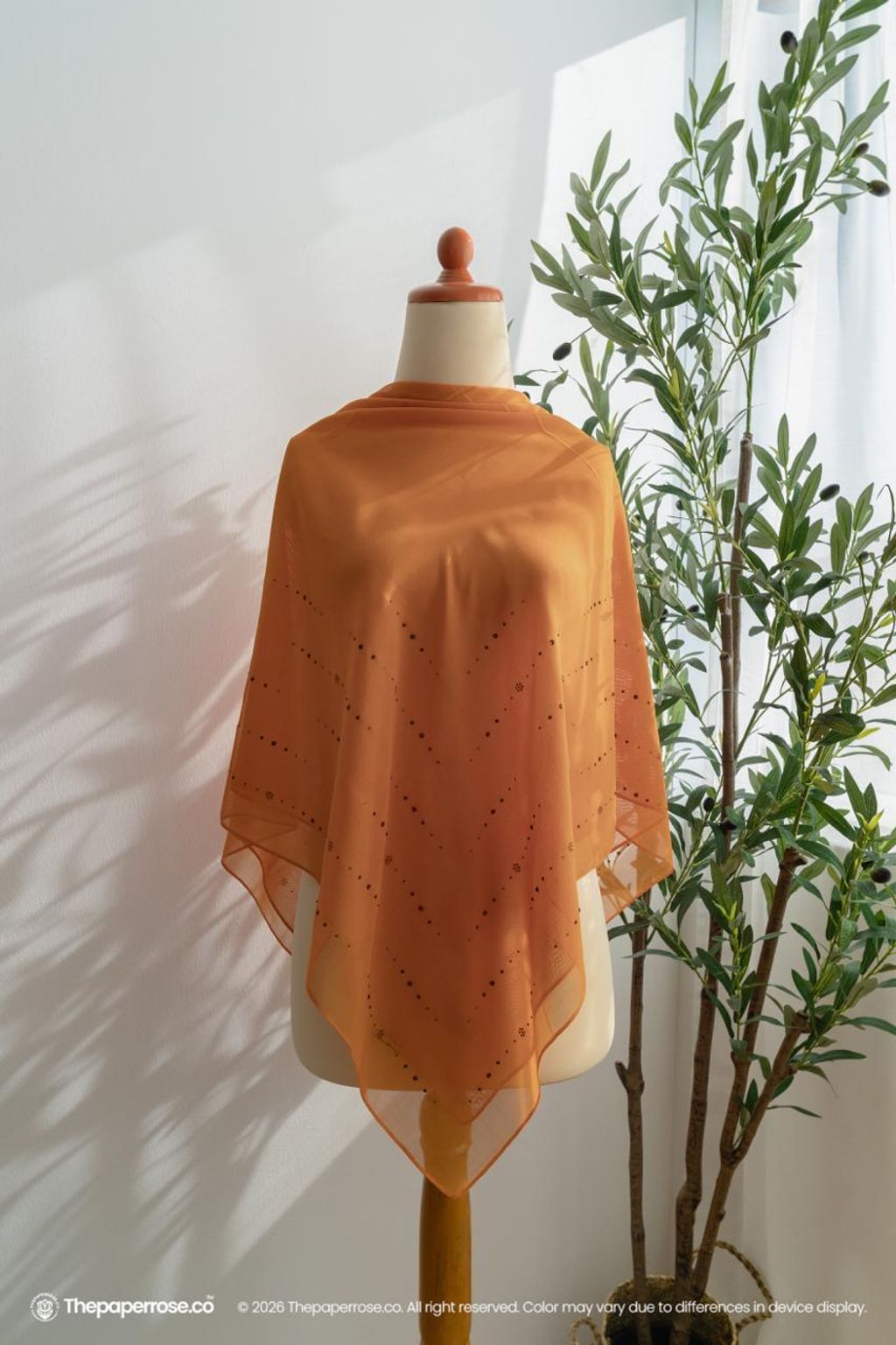 photo_11_2026-02-02_14-18-13