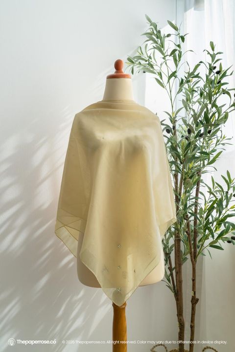 photo_23_2026-02-02_14-18-13