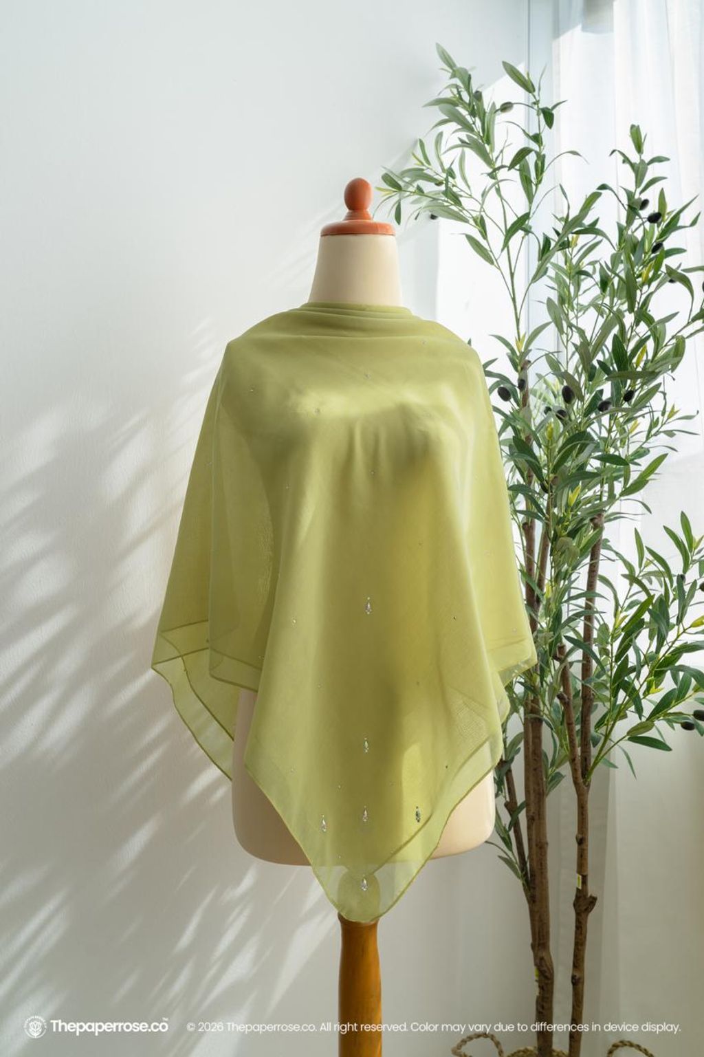 photo_25_2026-02-02_14-18-13