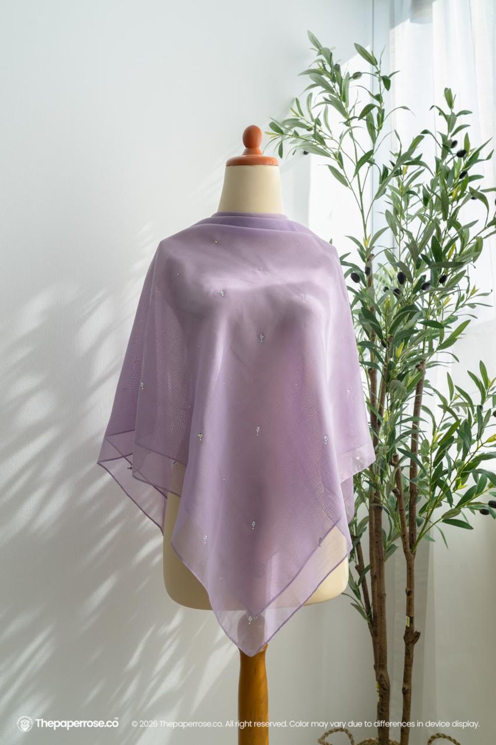 photo_27_2026-02-02_14-18-13