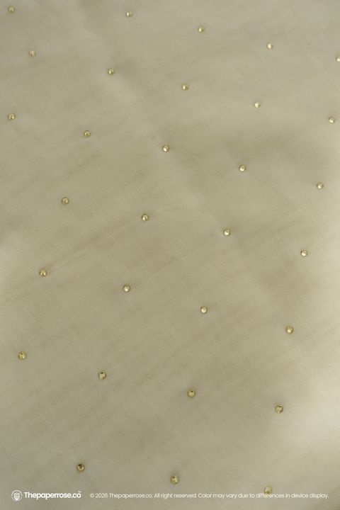 DSC07582 FULL RES twinkle champagne beige