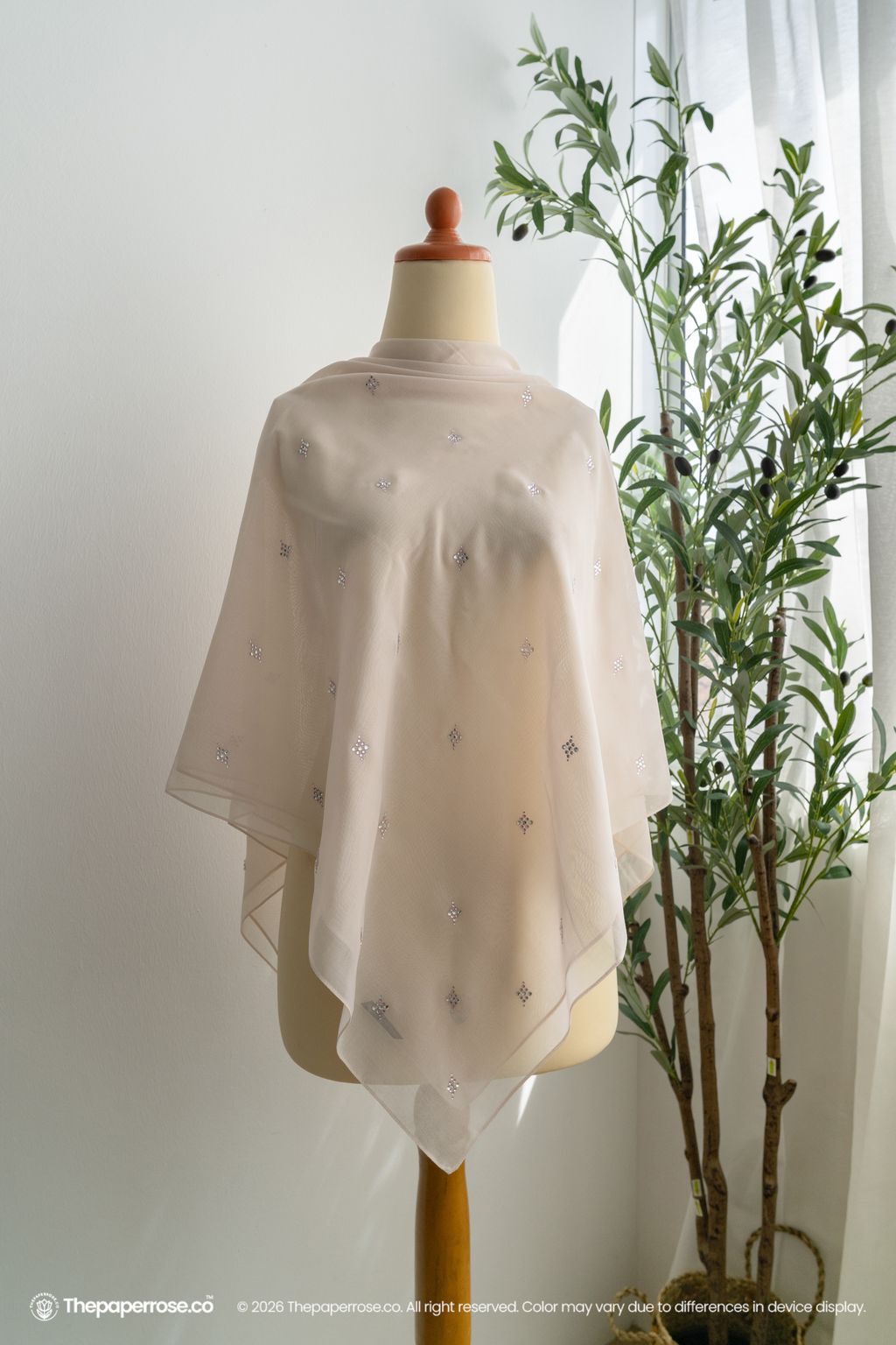 DSC07741 FULL RES LIGHT SALMON