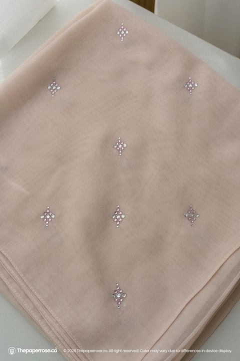 DSC07771 FULL RES LIGHT SALMON