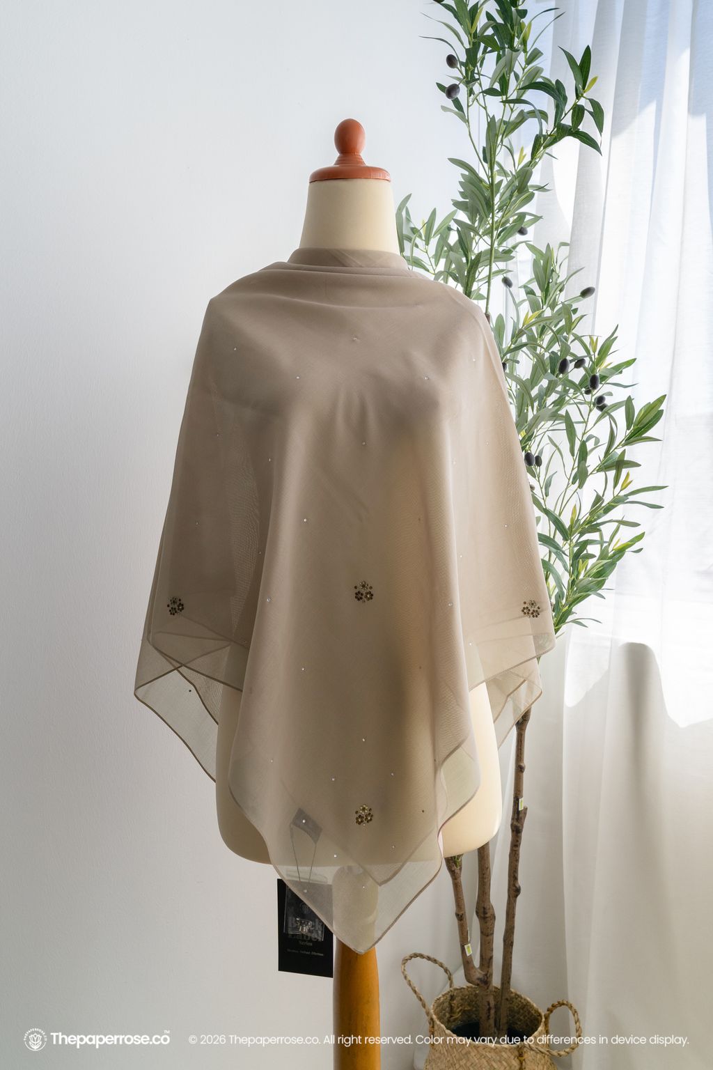 DSC08012 FULL RES HAILEY ROSE PETAL