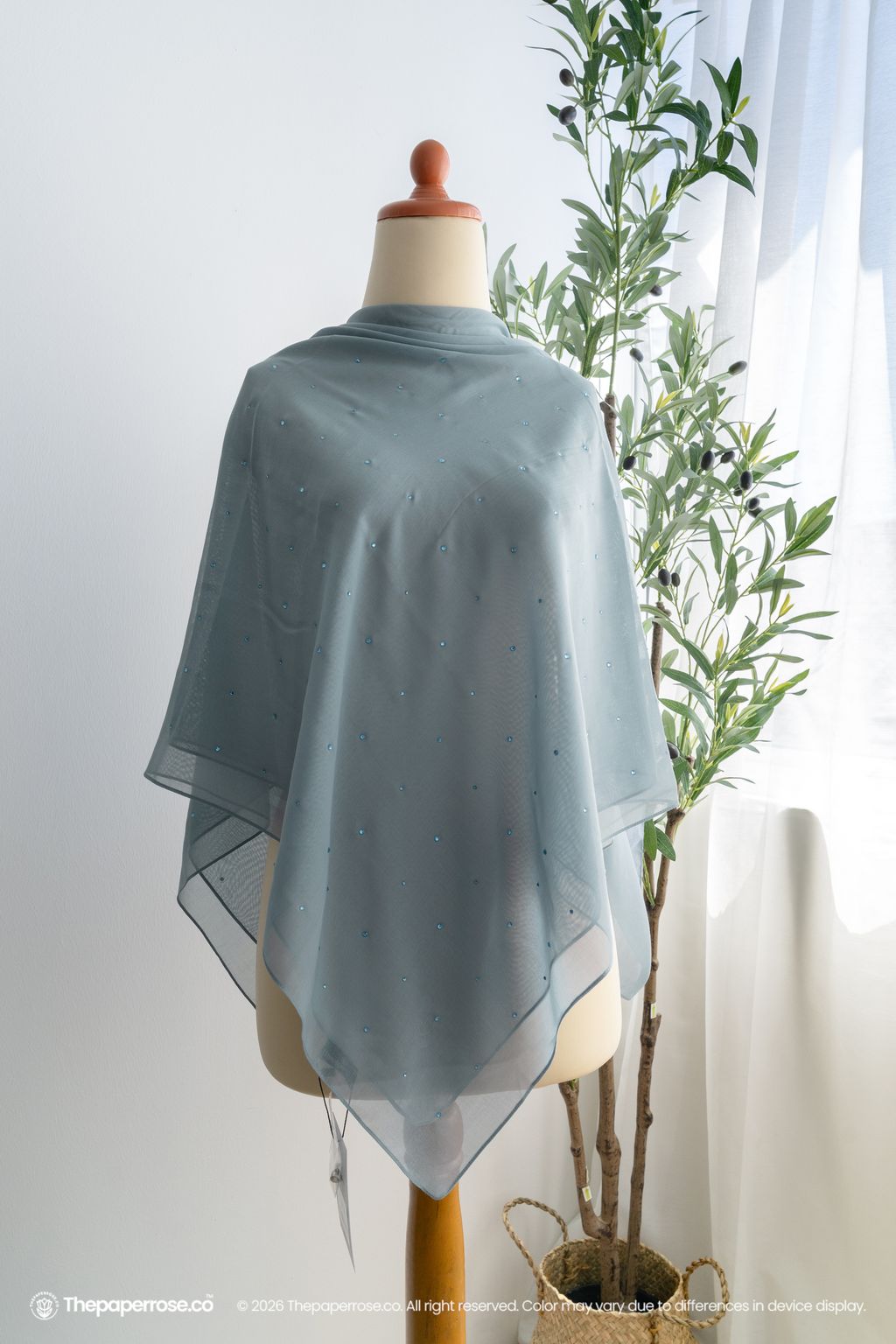 DSC08026 FULL RES ZIRENNIA THUNDER BLUE