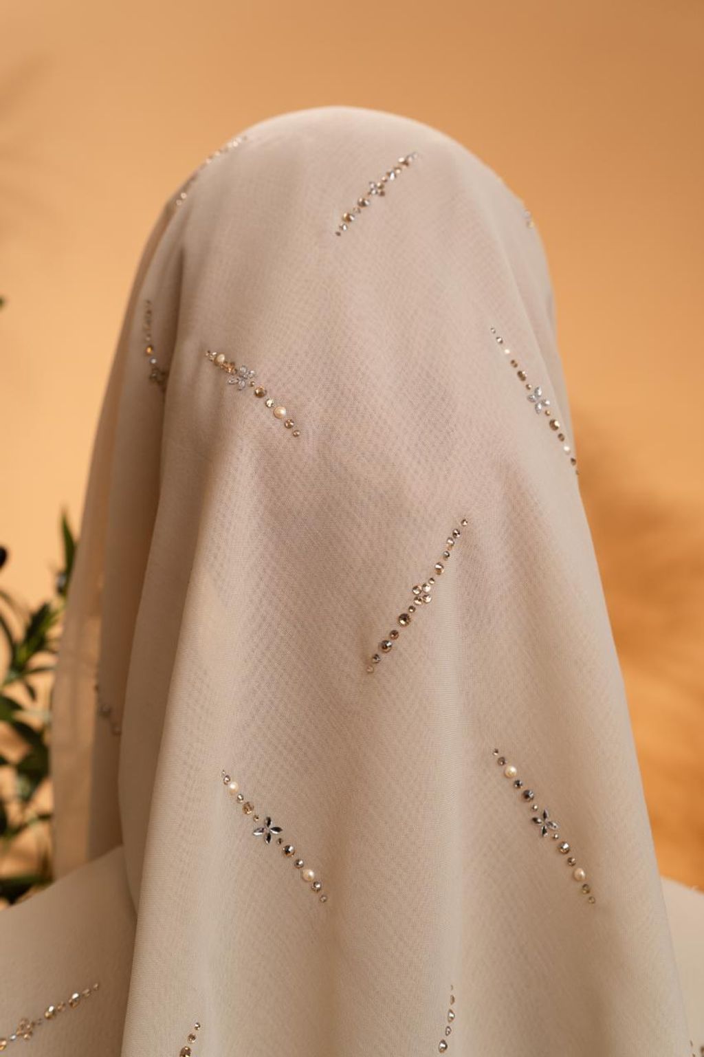 photo_2_2026-02-22_11-55-59