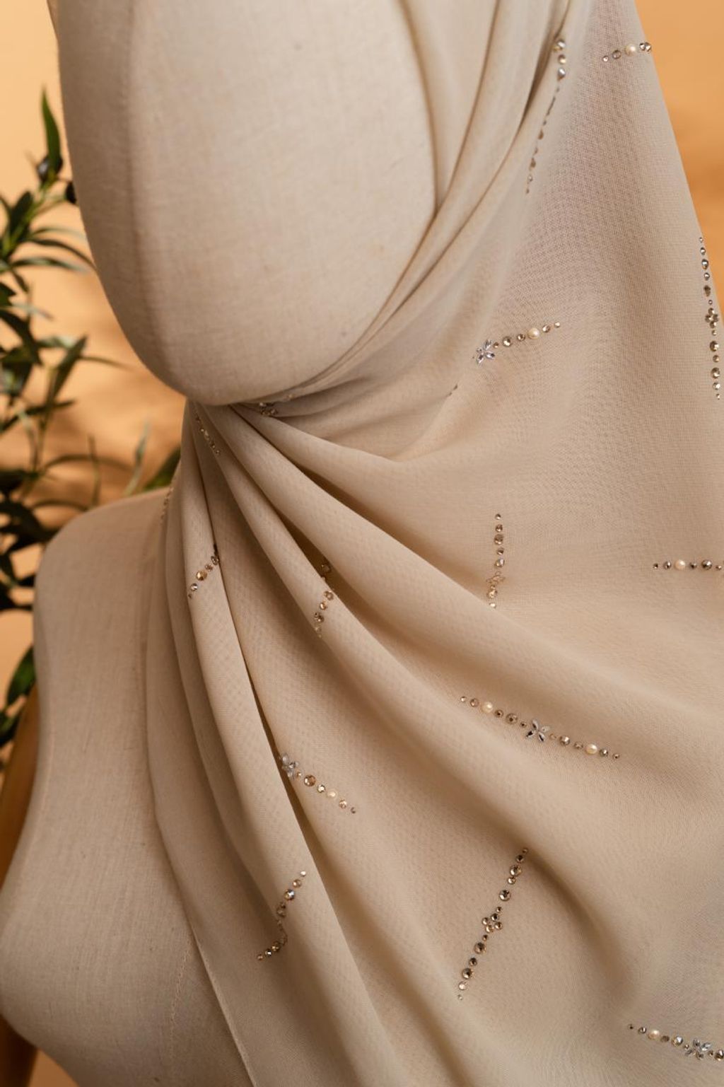 photo_5_2026-02-22_11-55-59