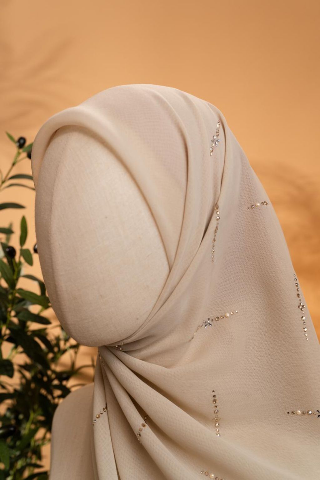 photo_6_2026-02-22_11-55-59