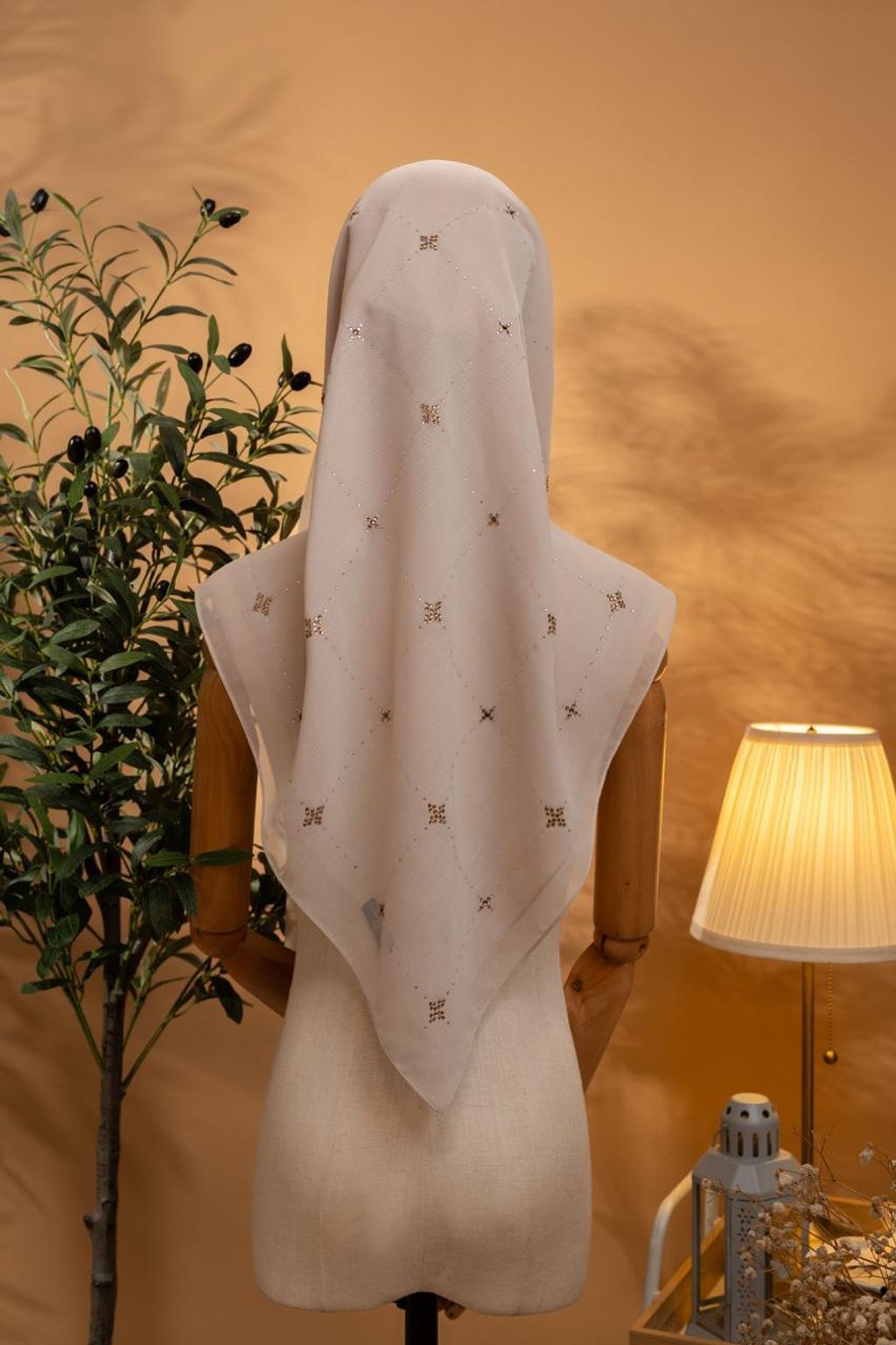 photo_1_2026-02-22_12-04-03