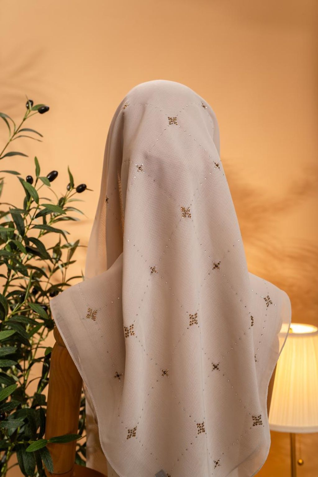 photo_2_2026-02-22_12-04-03