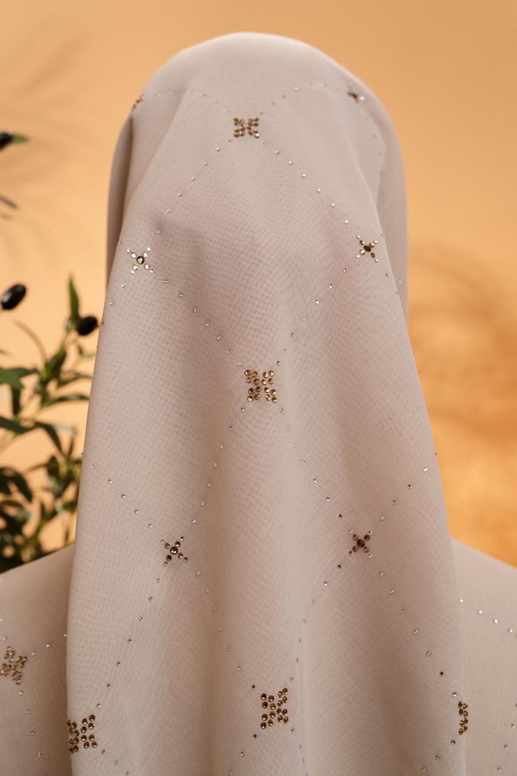 photo_3_2026-02-22_12-04-03