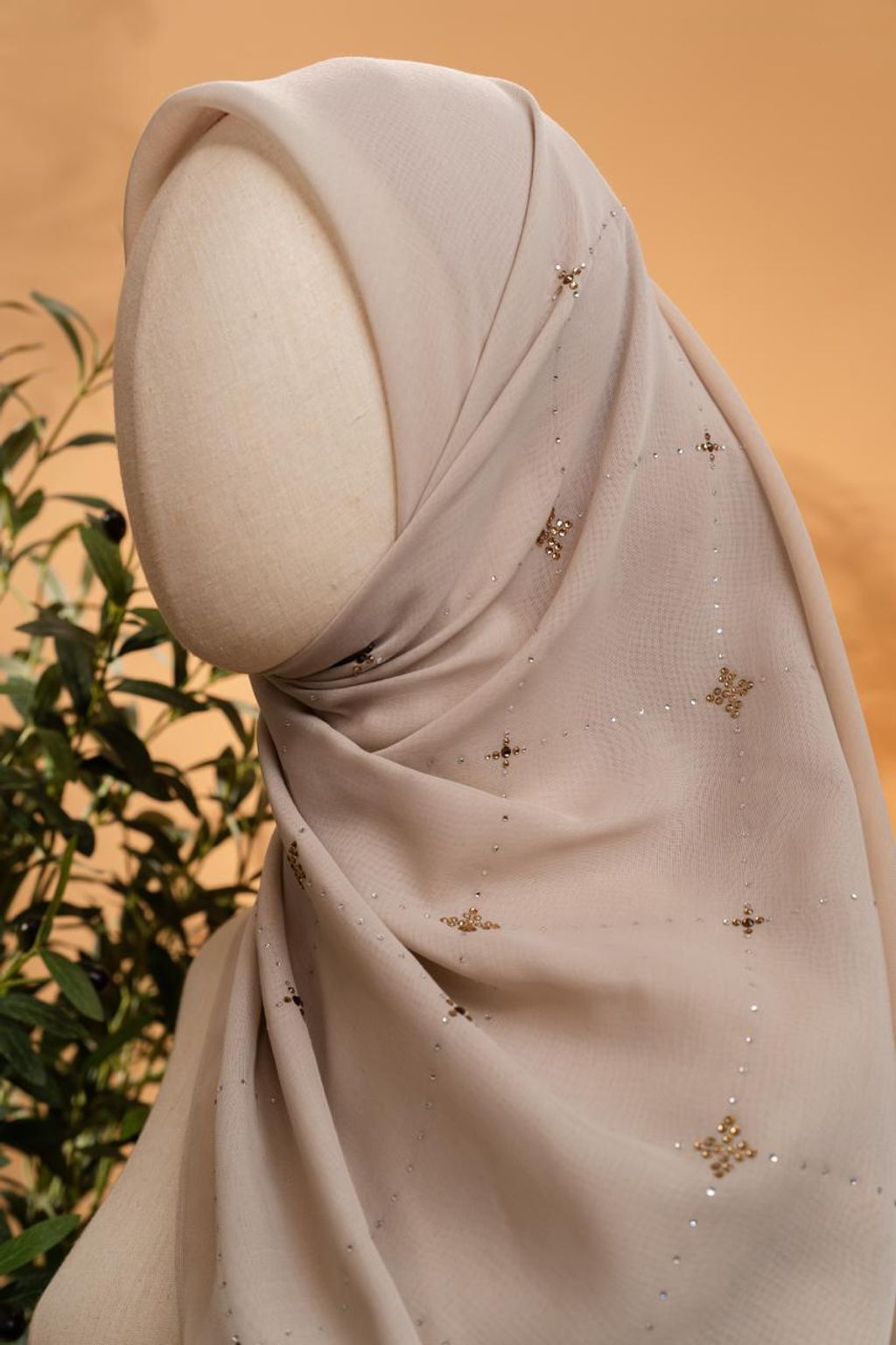 photo_7_2026-02-22_12-04-03