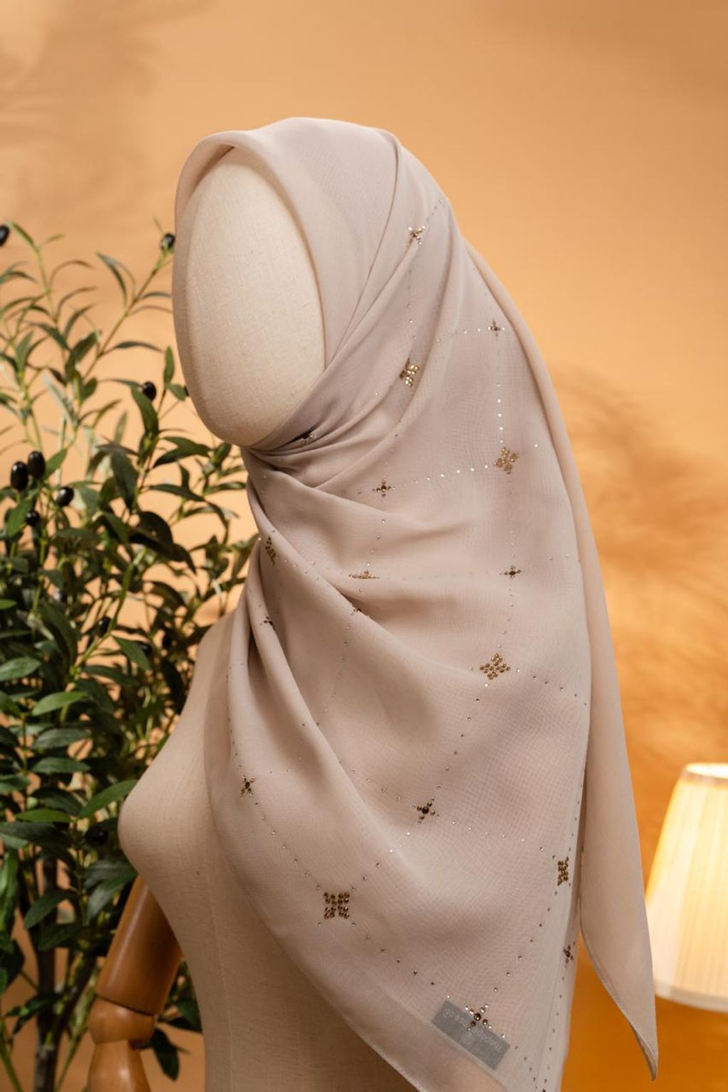 photo_9_2026-02-22_12-04-03