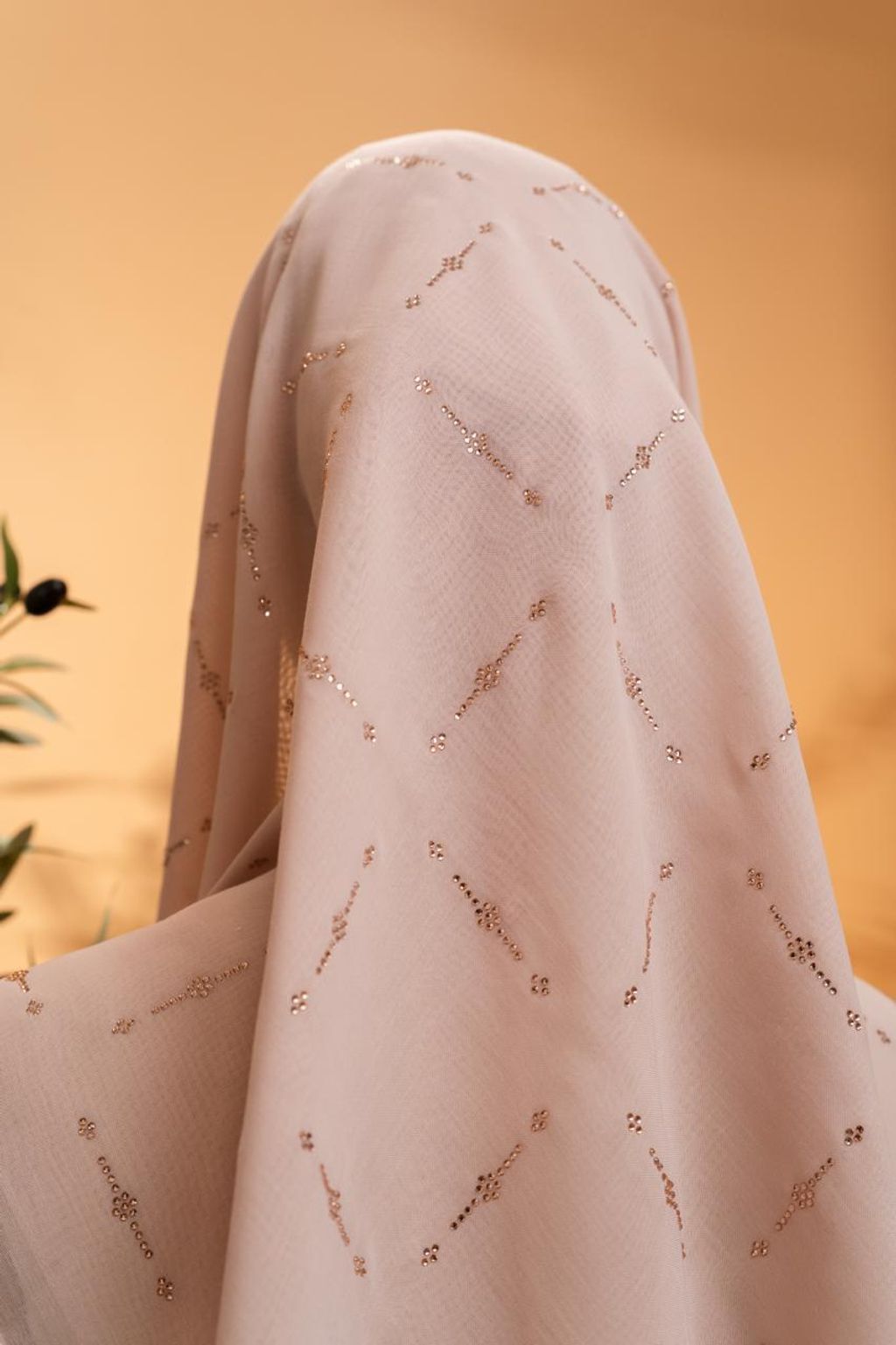 photo_3_2026-02-22_12-08-46