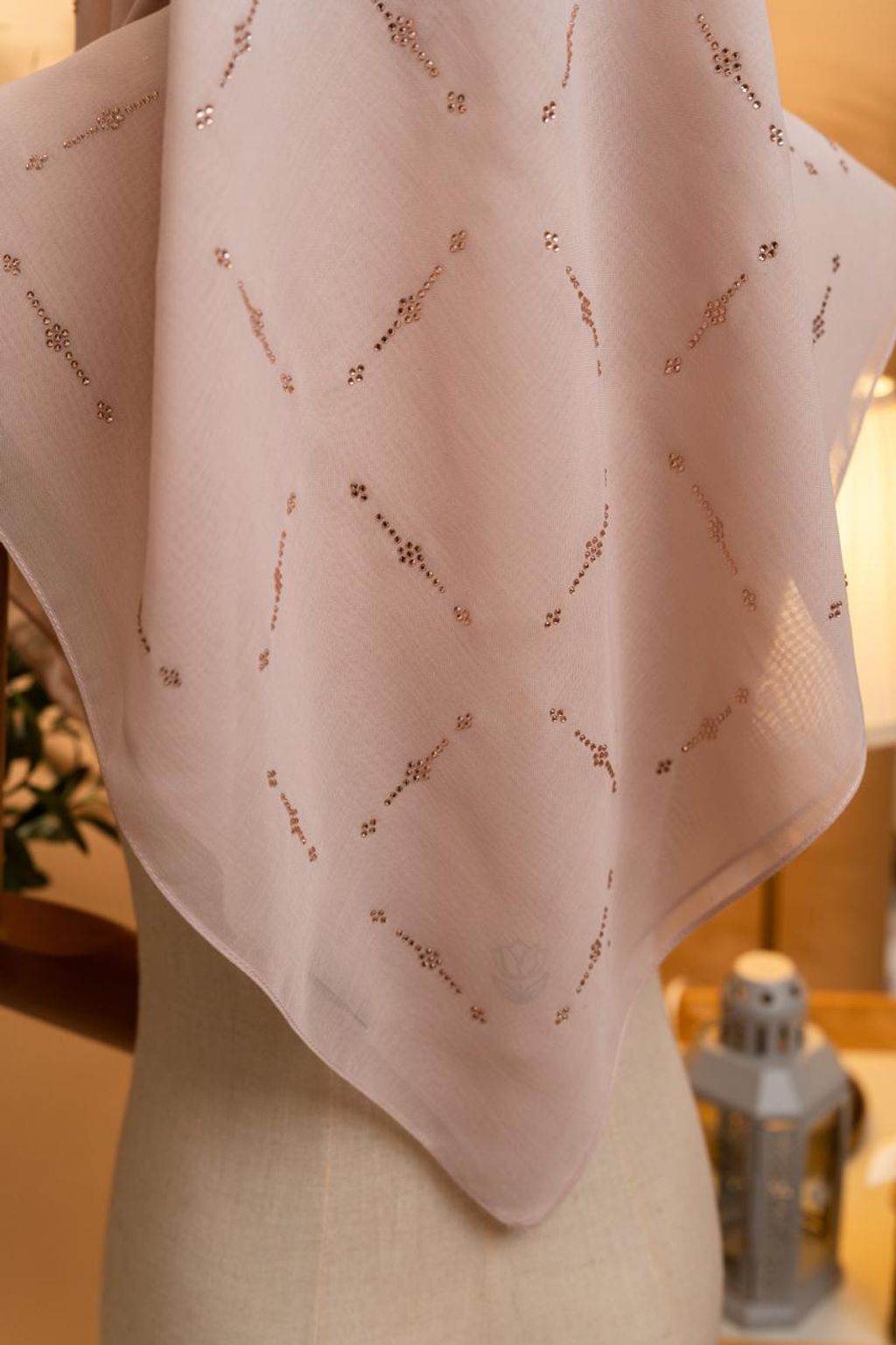 photo_2_2026-02-22_12-08-46