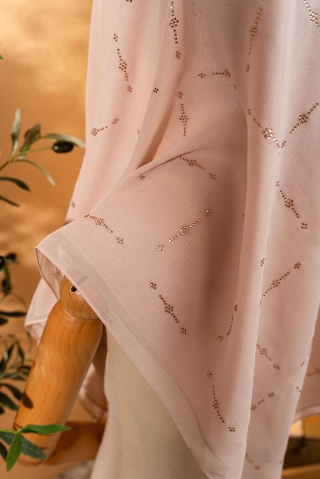 photo_4_2026-02-22_12-08-46