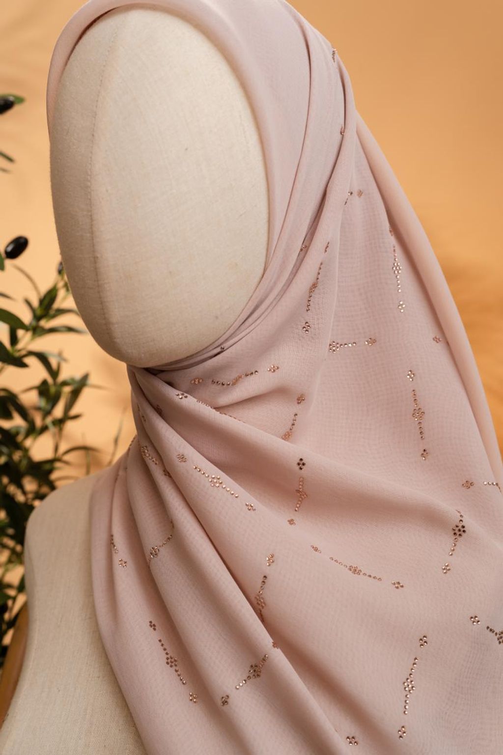 photo_8_2026-02-22_12-08-46