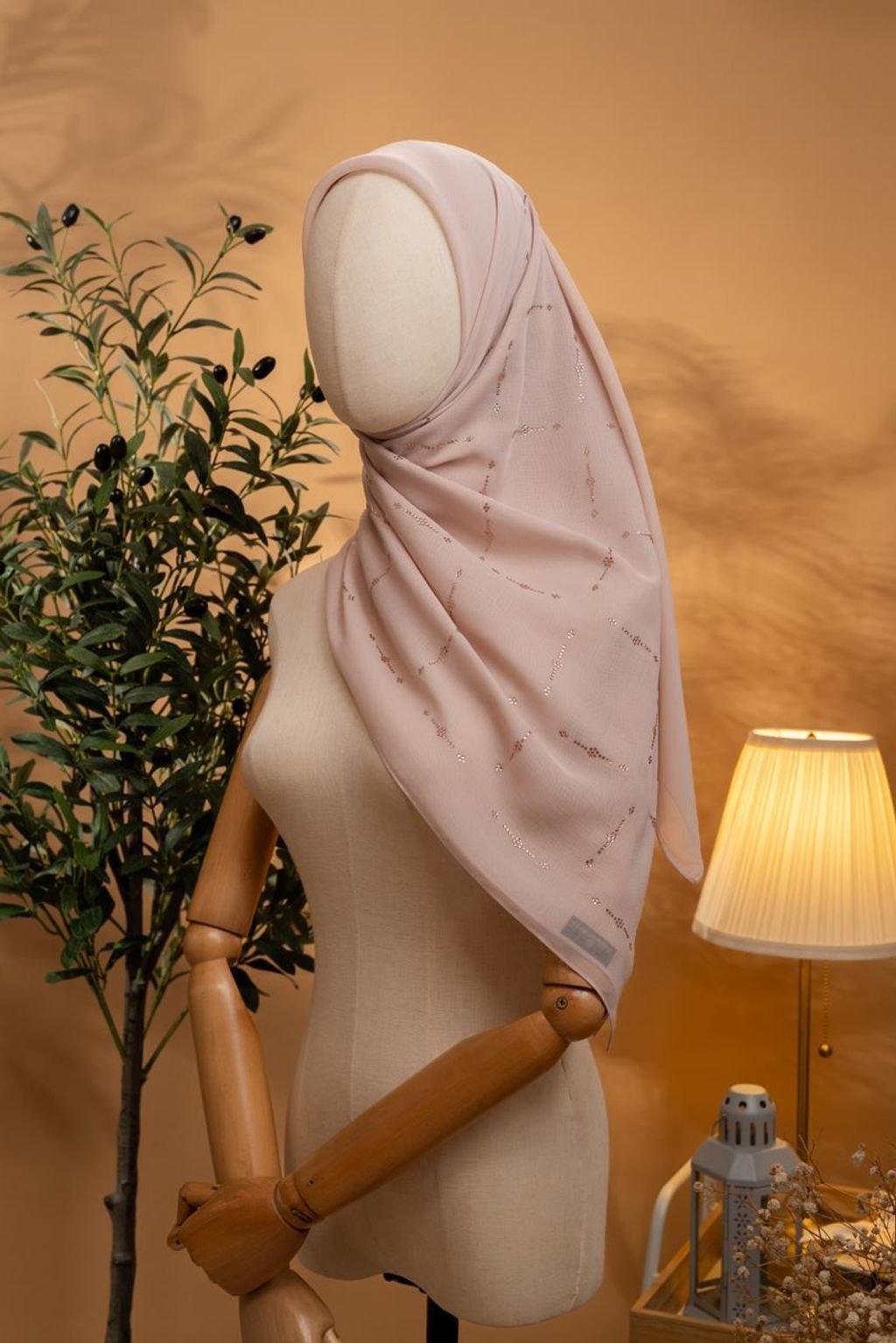 photo_5_2026-02-22_12-08-46