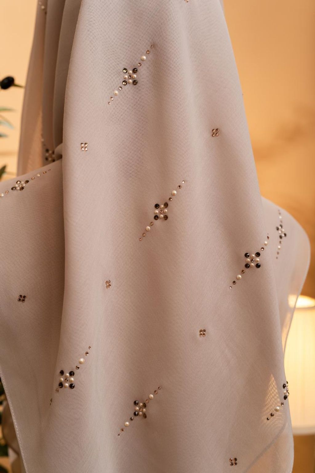 photo_2_2026-02-22_11-58-25