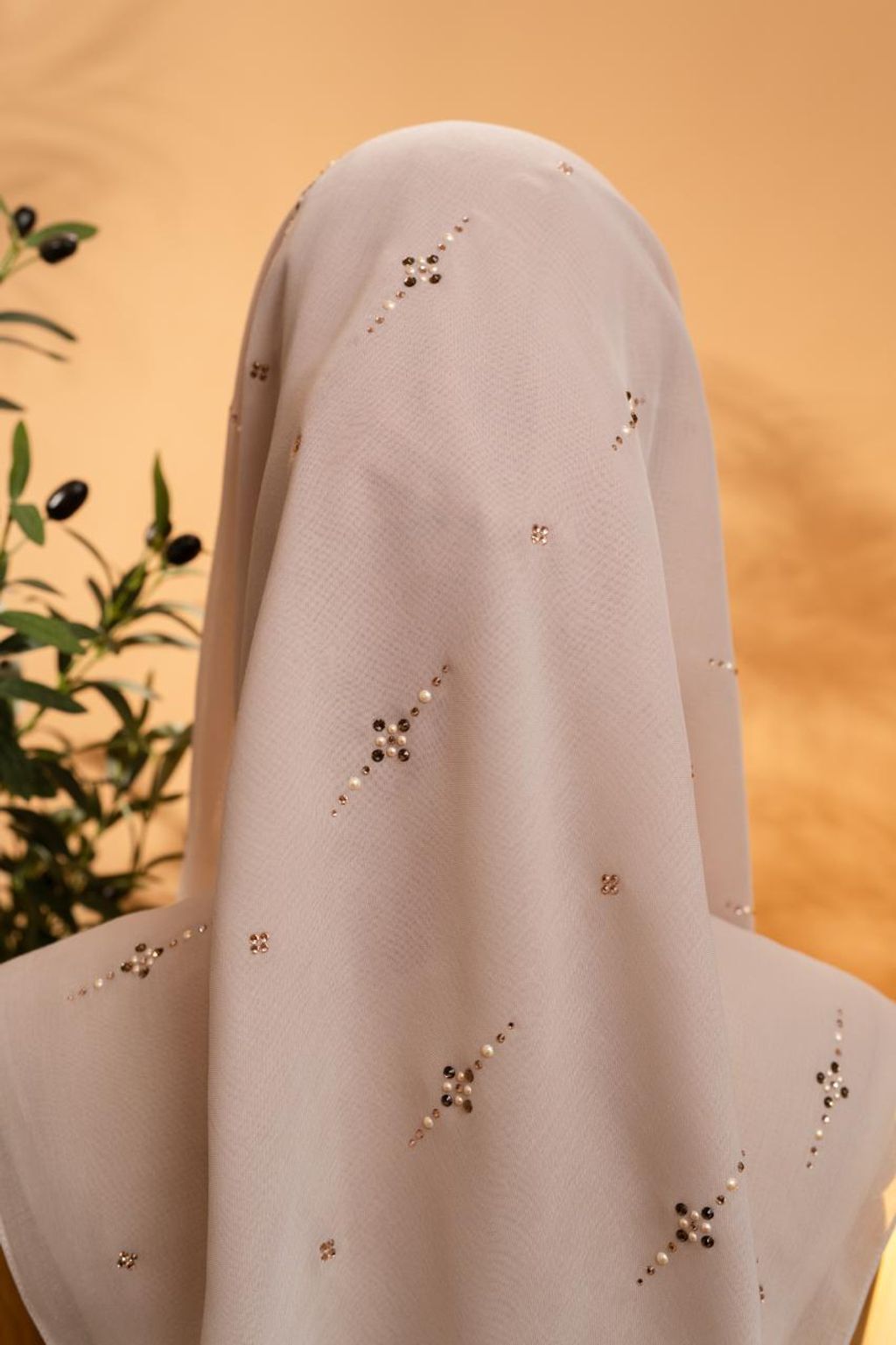 photo_3_2026-02-22_11-58-25