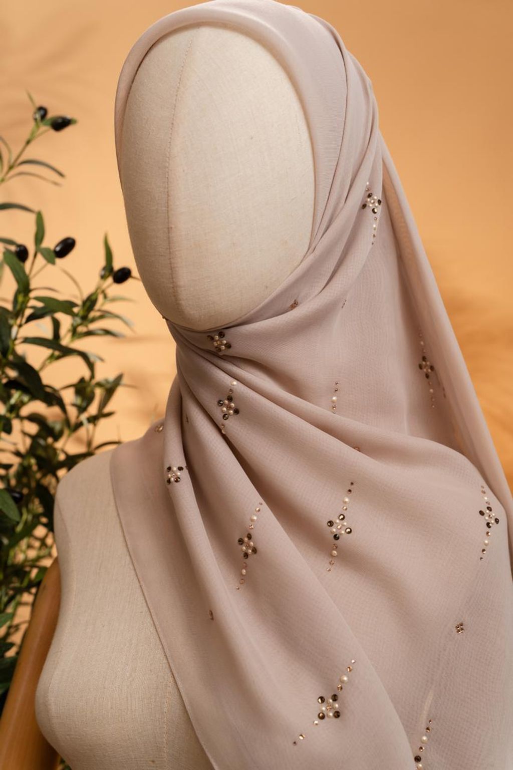 photo_7_2026-02-22_11-58-25