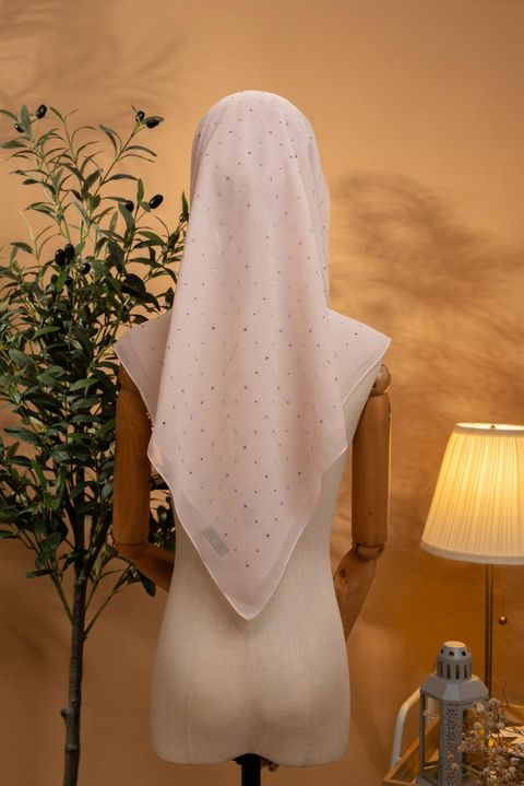 photo_1_2026-02-22_12-02-09