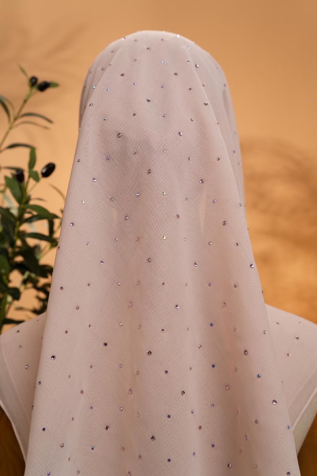 photo_3_2026-02-22_12-02-09