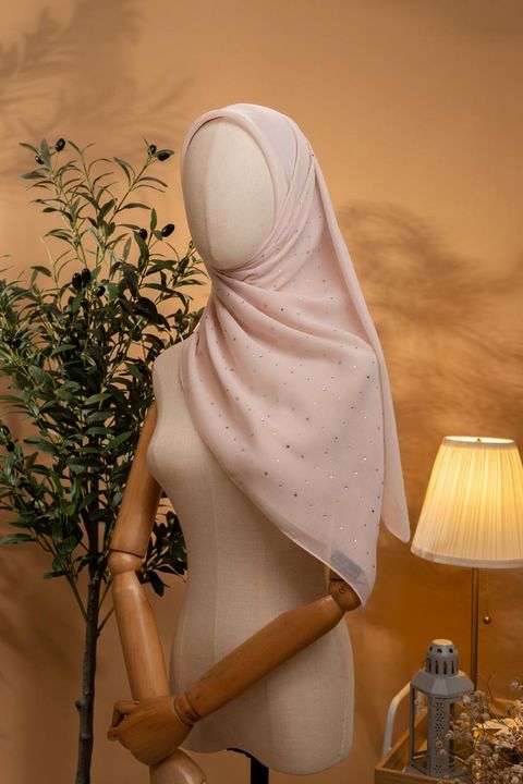 photo_6_2026-02-22_12-02-09