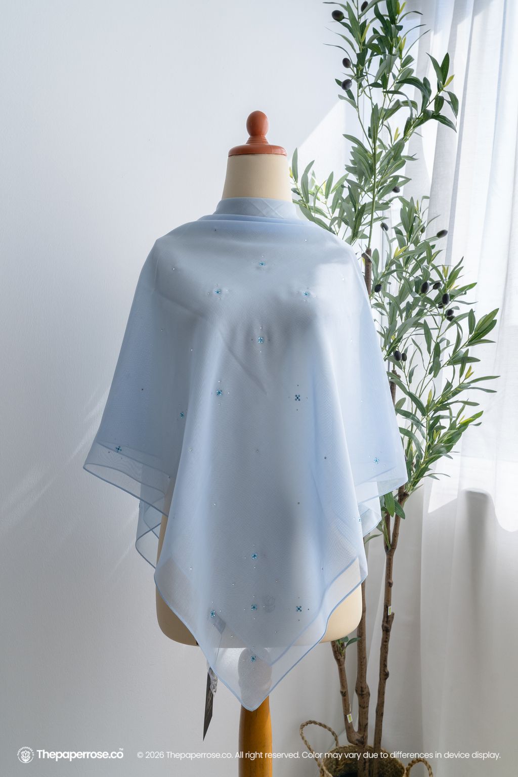 DSC08117 FULL RES CYNTHIA PALE CERULEAN