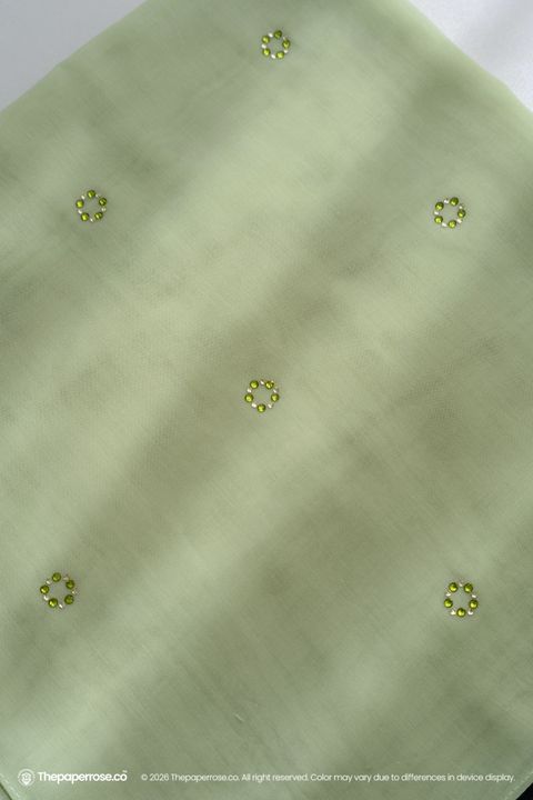 DSC08137 FULL RES OLIVRA WILD LIME