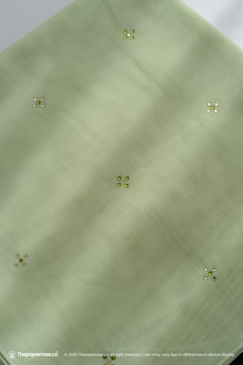 DSC08138 FULL RES RHAE WILD LIME