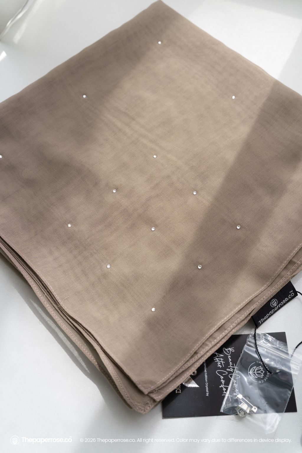 DSC08260 FULL RES BEAVER BROWN