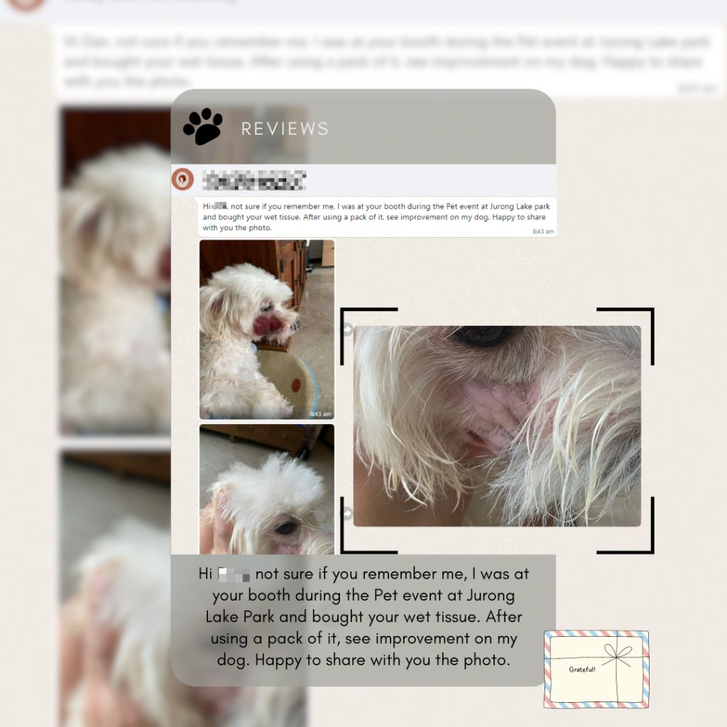 help clean our furkids up without allergy reactions
