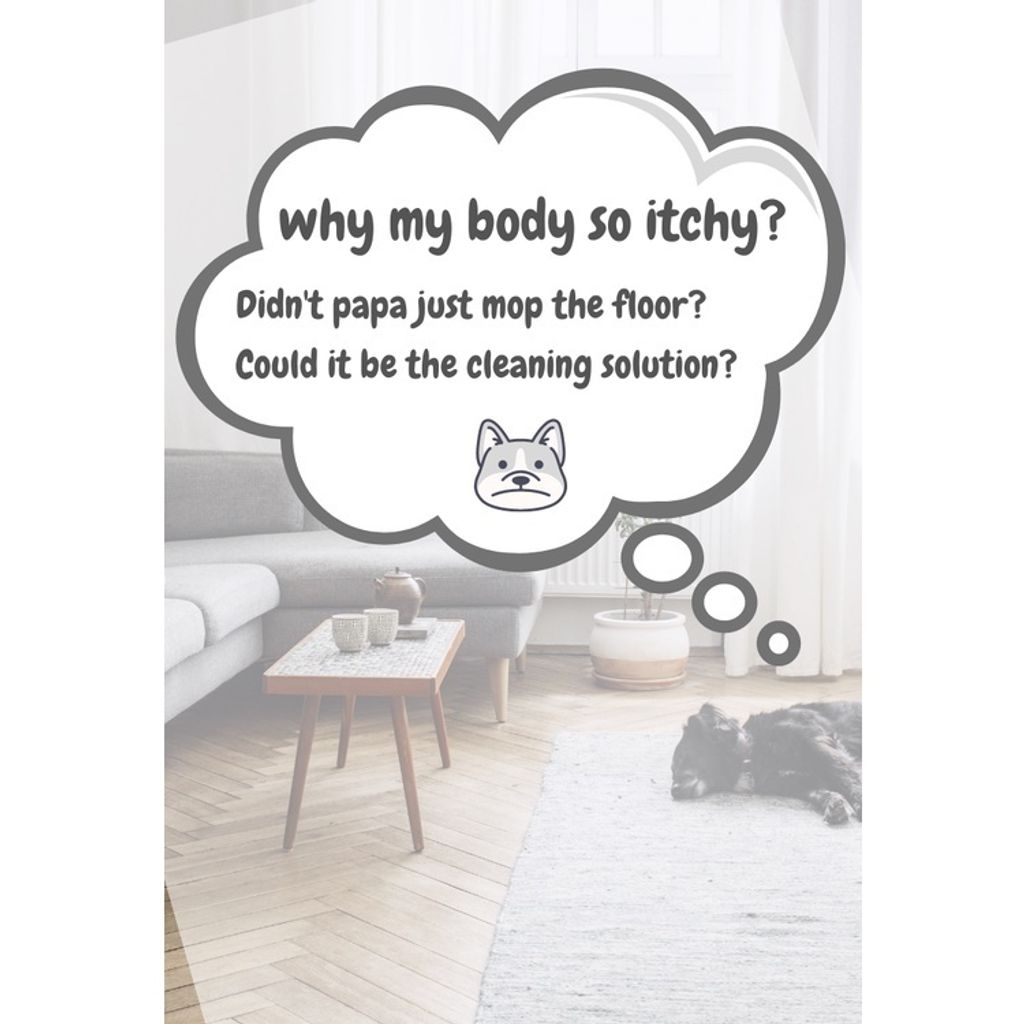 Why use Floor Cleaner