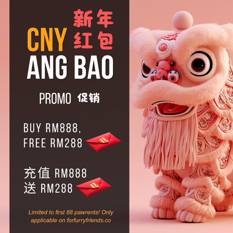CNY PROMO (1)
