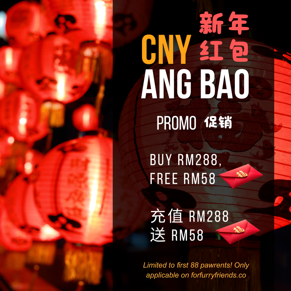 CNY PROMO
