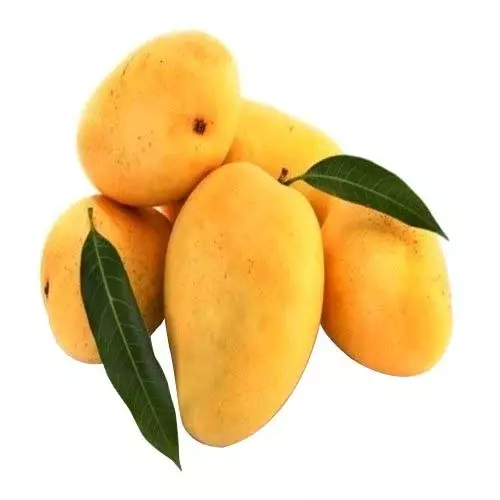 Mango-1