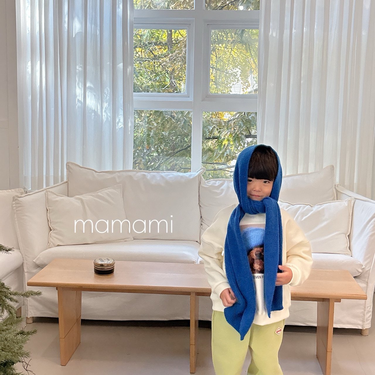 747be7a8687964955bc8f81776f03a6e