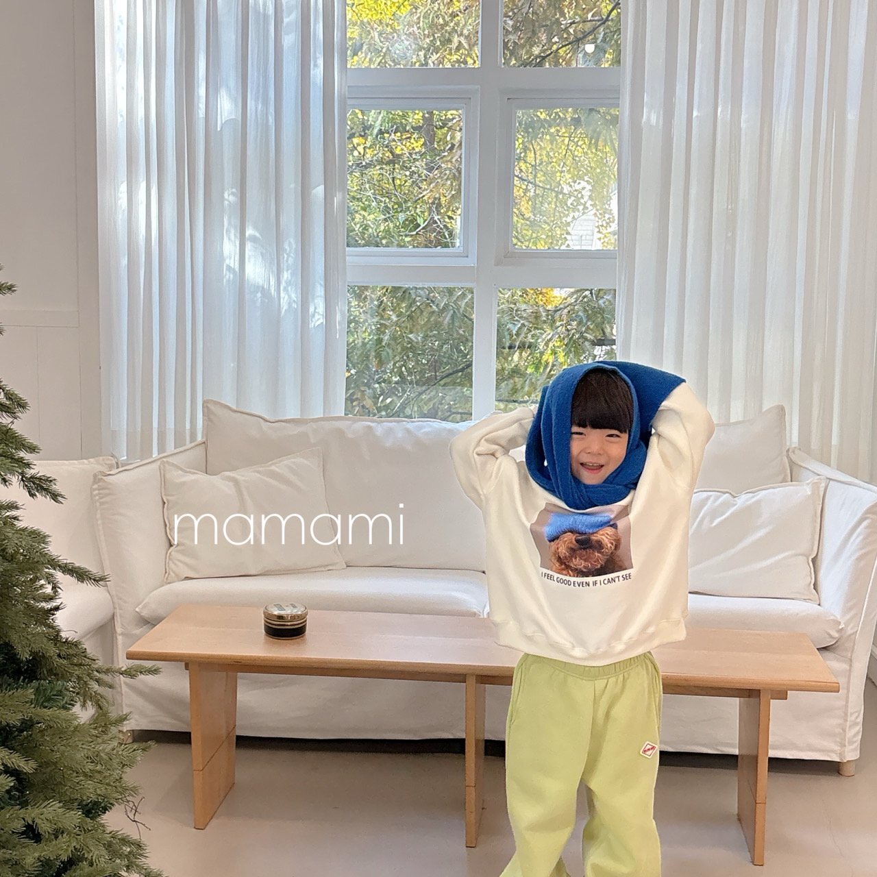 327f6fb781e930fdcaca4a9c3ee146b1 2