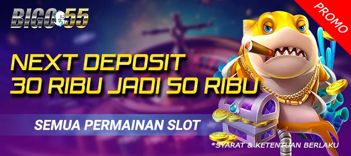 650f774b16399_Promo-Bigo55-04