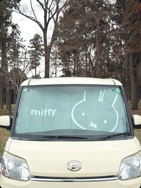 image_9ED30709-415D-42DF-9908-72414590BB48_1773291067