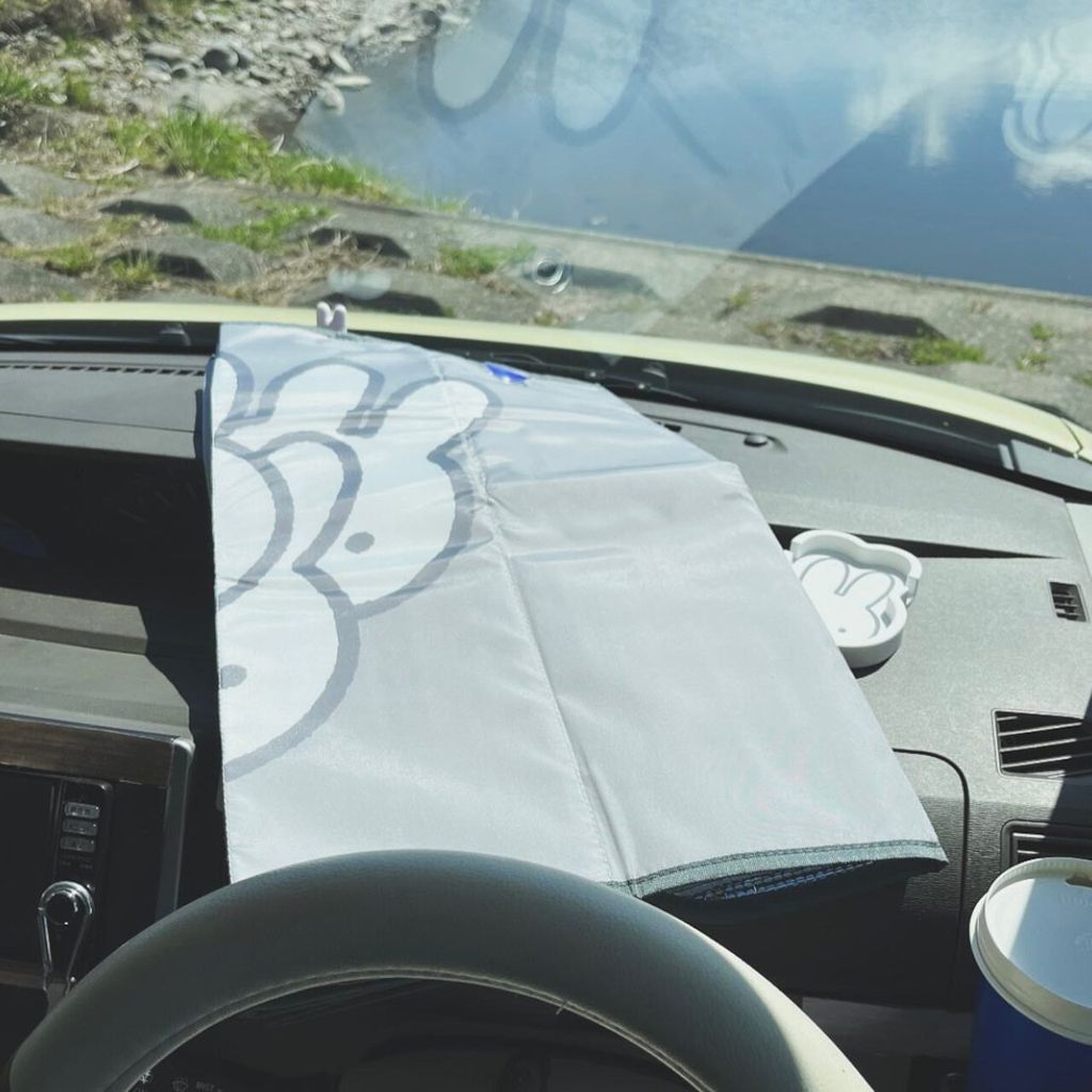 image_4641A9D6-778A-4381-8DD2-D7C75D07CA9D_1773291067