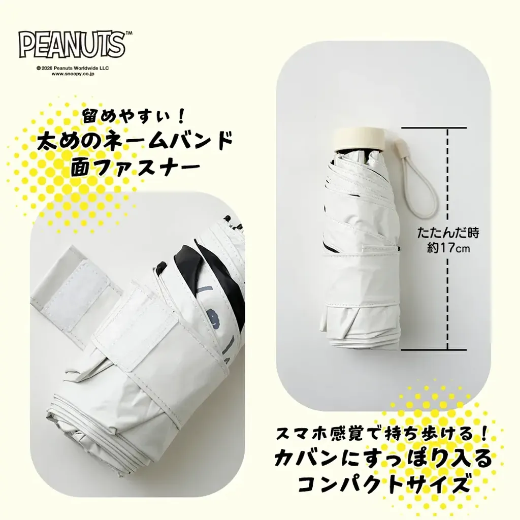 image_4FC7A339-D6D6-41C2-A6CB-769B18815B87_1773305364